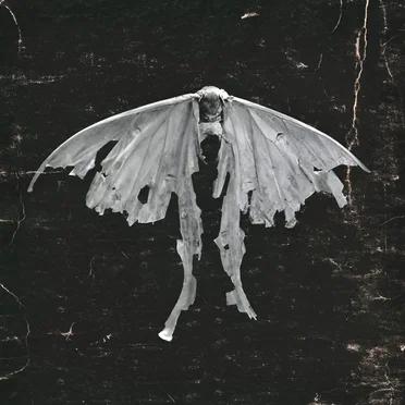Mariposa