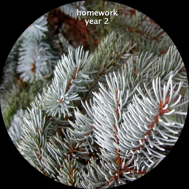 Homework – Year 2 by Various Artists - album cover