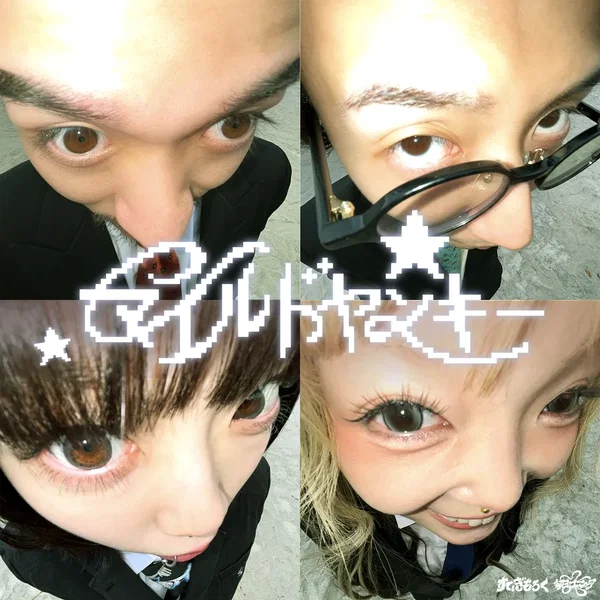 マイルドヤンキー