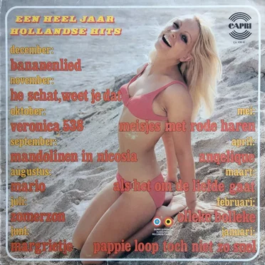 Een heel jaar Hollandse hits by Various Artists - album cover