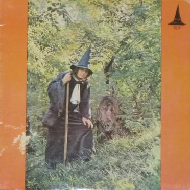 The Grey Wizard Am I