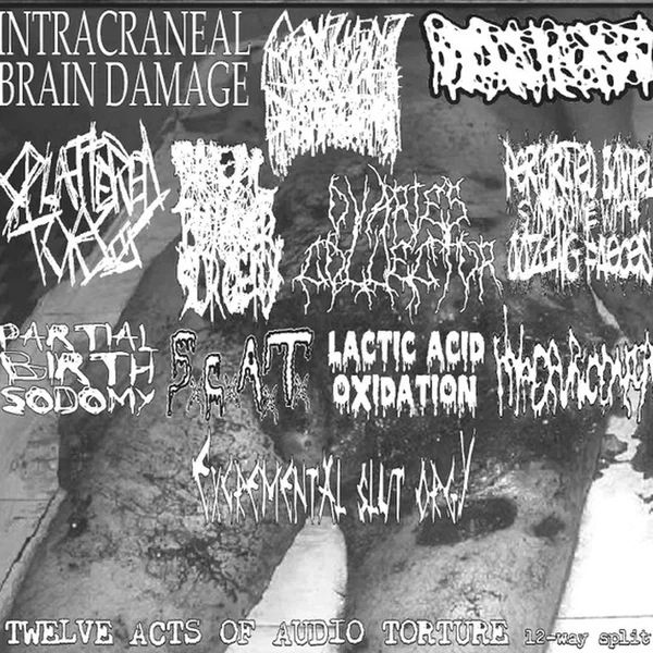 Twelve Acts Of Audio Torture 12 Way Split