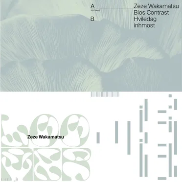 Loomer & The Remixes by Zeze Wakamatsu - album cover