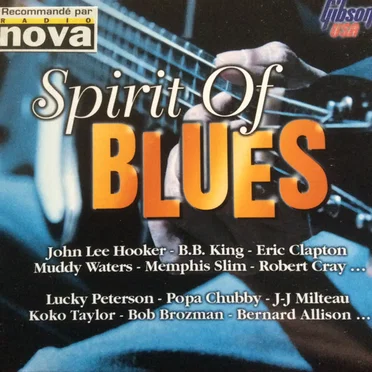 Spirit of Blues by Various Artists - album cover