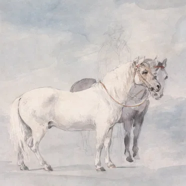 Every Dumb Thing I Ever Did by Horses - album cover