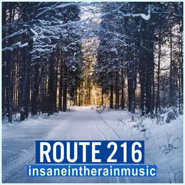 Route 216 by insaneintherainmusic - album cover