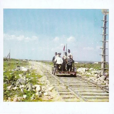 The Limes by The Limes - album cover