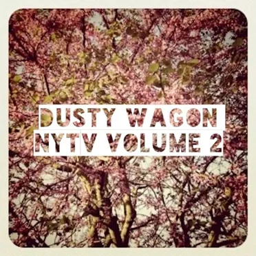 NYTV Volume Two by Dusty Wagon - album cover