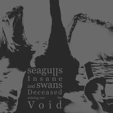 Seagulls Insane and Swans Deceased Mining Out the Void by Seagulls Insane and Swans Deceased Mining Out the Void - album cover