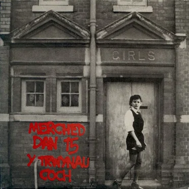 Merched Dan 15 by Y Trwynau Coch - album cover