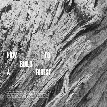 How To Build A Forest