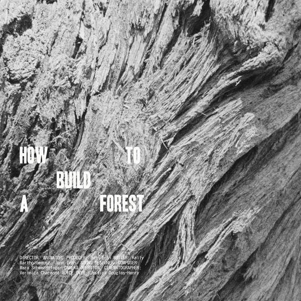 How To Build A Forest