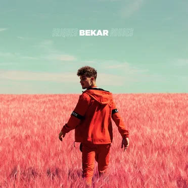 Briques rouges by Bekar - album cover