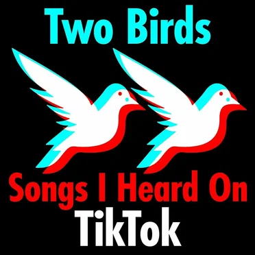 Two Birds - Songs I Heard on TikTok by Various Artists - album cover