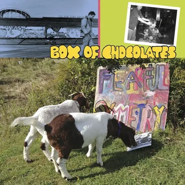 Fearful Symmetry by Box of Chocolates - album cover