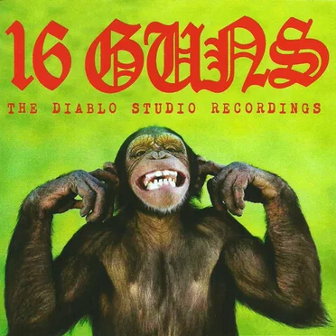 16 Guns