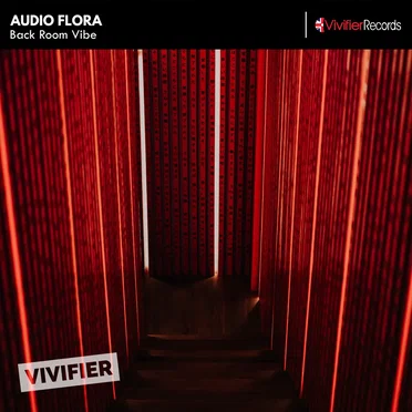 Back Room Vibe by Audio Flora - album cover