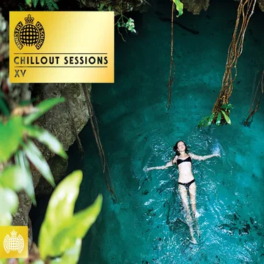 Ministry of Sound: Chillout Sessions XV by Various Artists - album cover