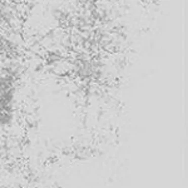 Verlangen by Melancholie - album cover