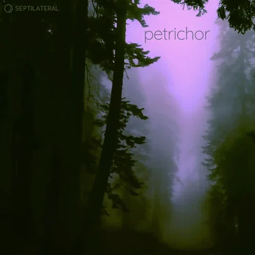 Petrichor