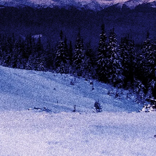 snowy nights.