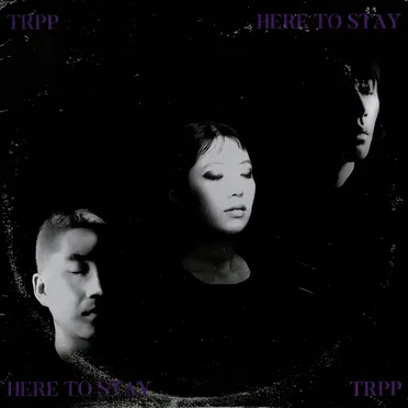 Here to stay by TRPP - album cover