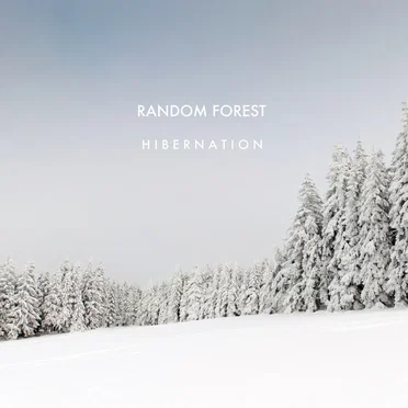 Hibernation by Random Forest - album cover