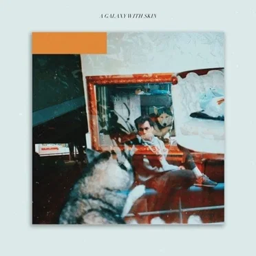 A Galaxy With Skin by Healy - album cover