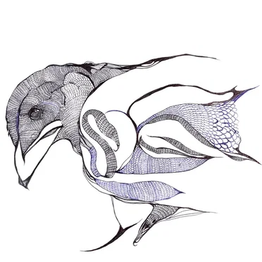 Kasasagi