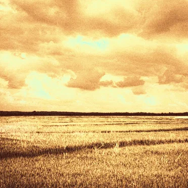 where it all started