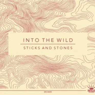 Into the Wild by Sticks and Stones - album cover