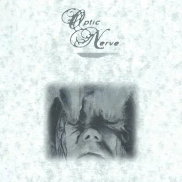 In A Fast Car Waving Goodbye by Optic Nerve - album cover