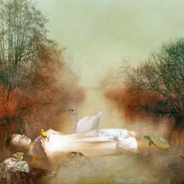 2007-2009 by Seine - album cover