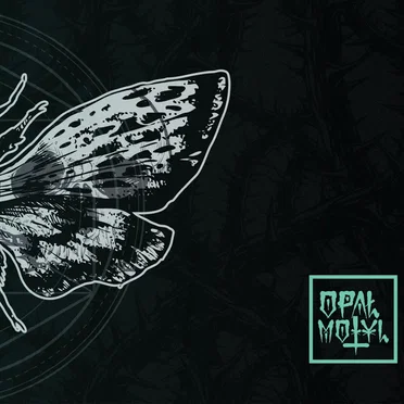 Motyl by Opał - album cover
