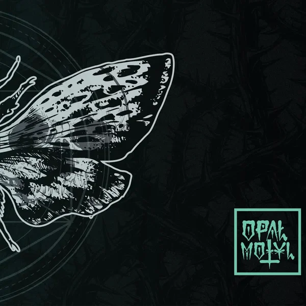 Motyl