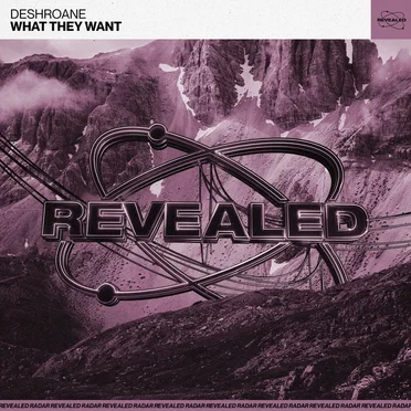 What They Want by DeshRoane - album cover