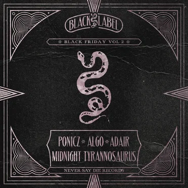 Black Friday, Vol. 2 by Various Artists - album cover