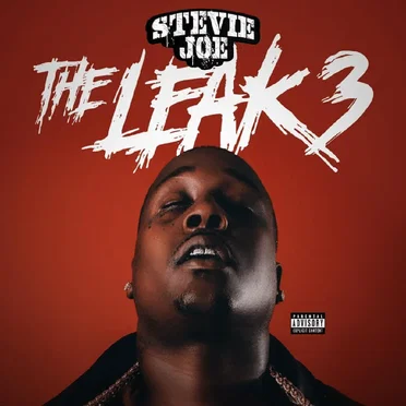 The Leak 3
