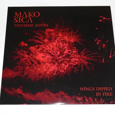 Wings Dipped in Fire