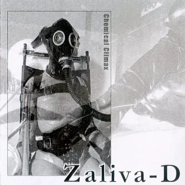 Chemical Climax by Zaliva-D - album cover