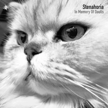 Stenahoria