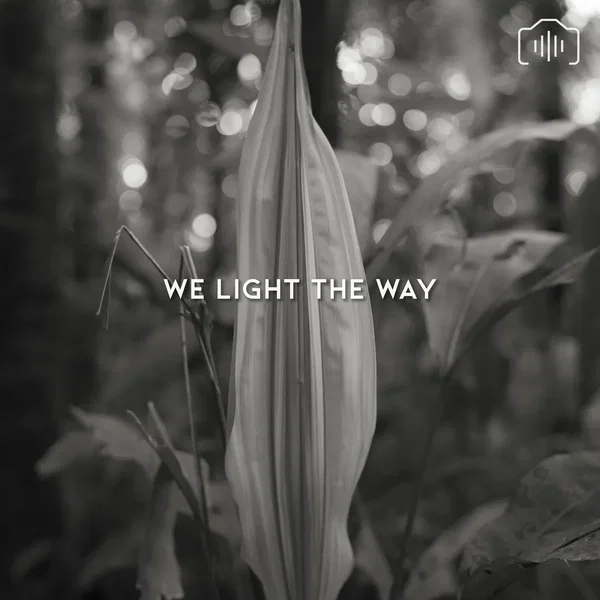 We Light The Way