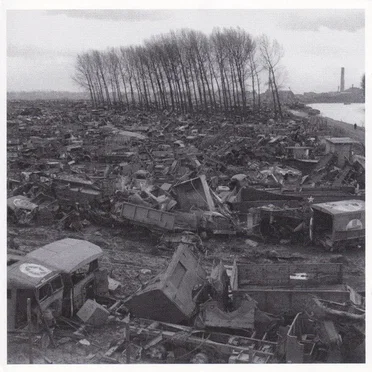 Birds’ Wings Were Glued to Their Bodies and Their Feet Froze to the Ground