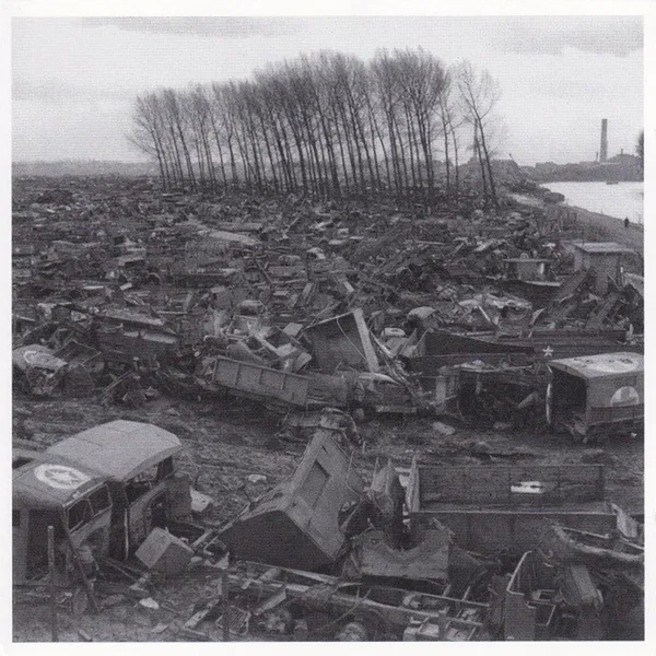 Birds’ Wings Were Glued to Their Bodies and Their Feet Froze to the Ground