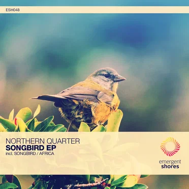 Songbird EP by Northern Quarter - album cover
