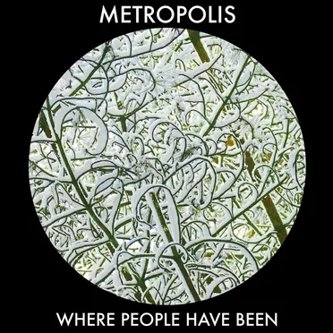 Metropolis