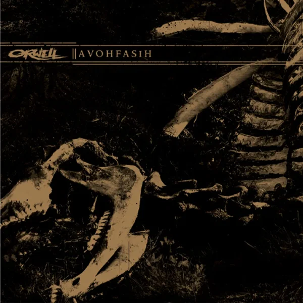 Avohfasih