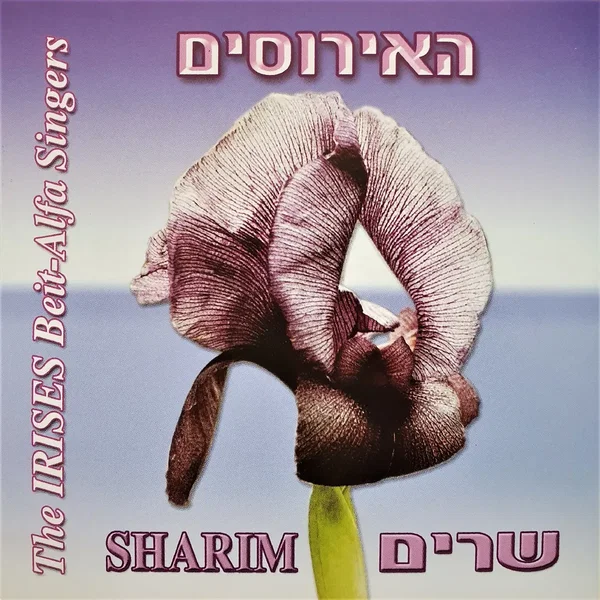האירוסים שרים