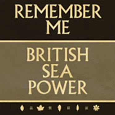 Remember Me