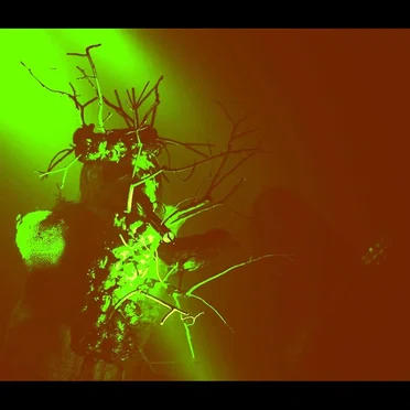 2009‐10‐22: Club Manufaktur, Schorndorf, Germany